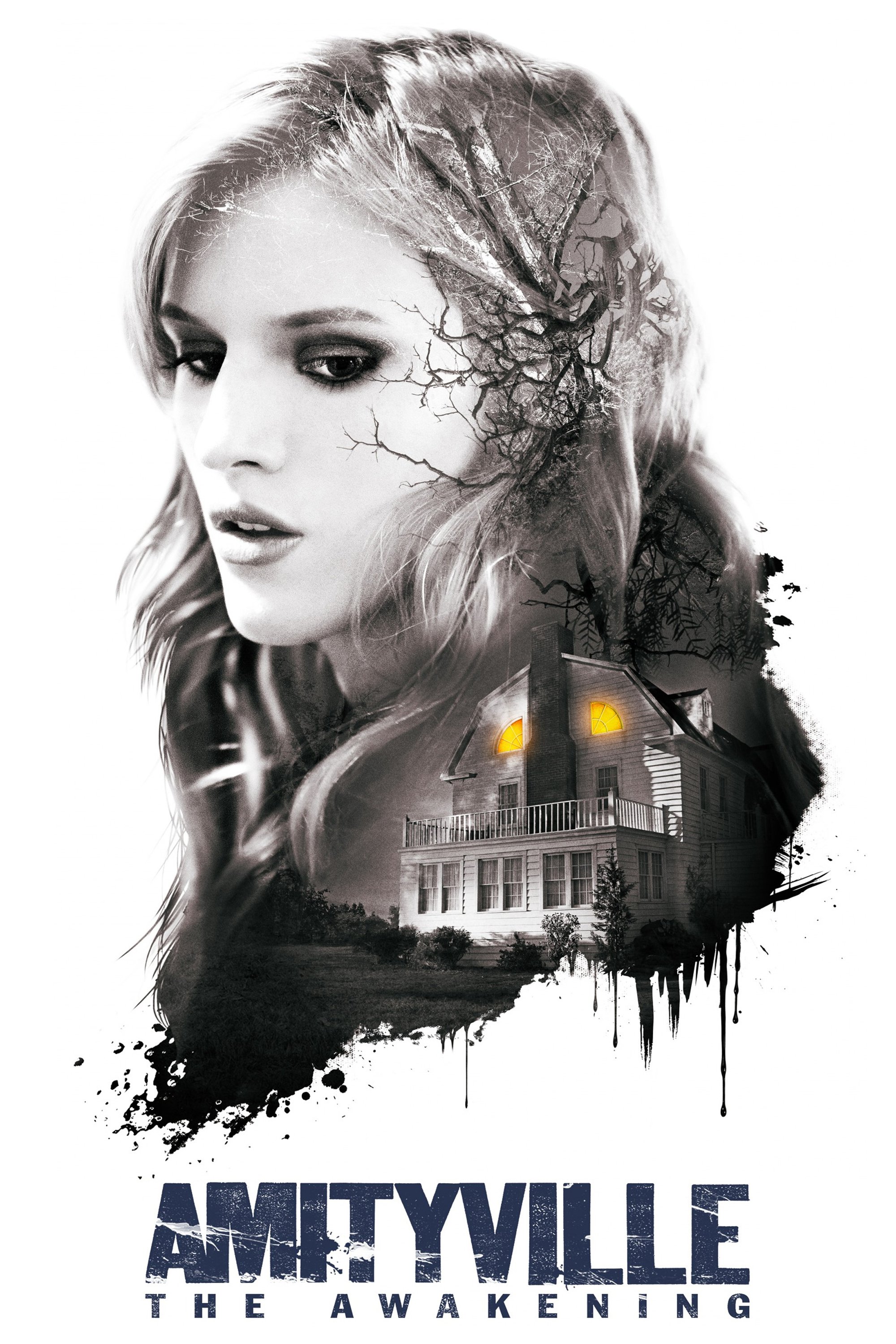 Amityville: Il risveglio