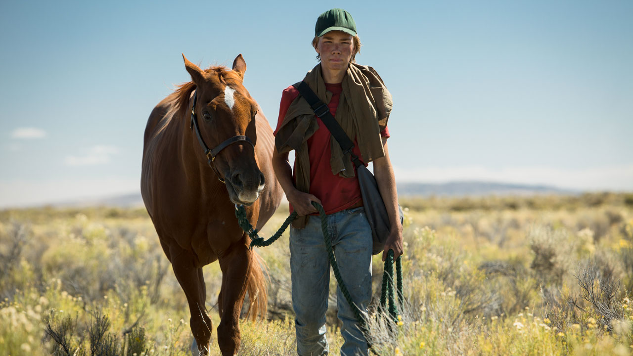 Lean on Pete a Venezia 74: ecco Charlie Plummer e il cavallo