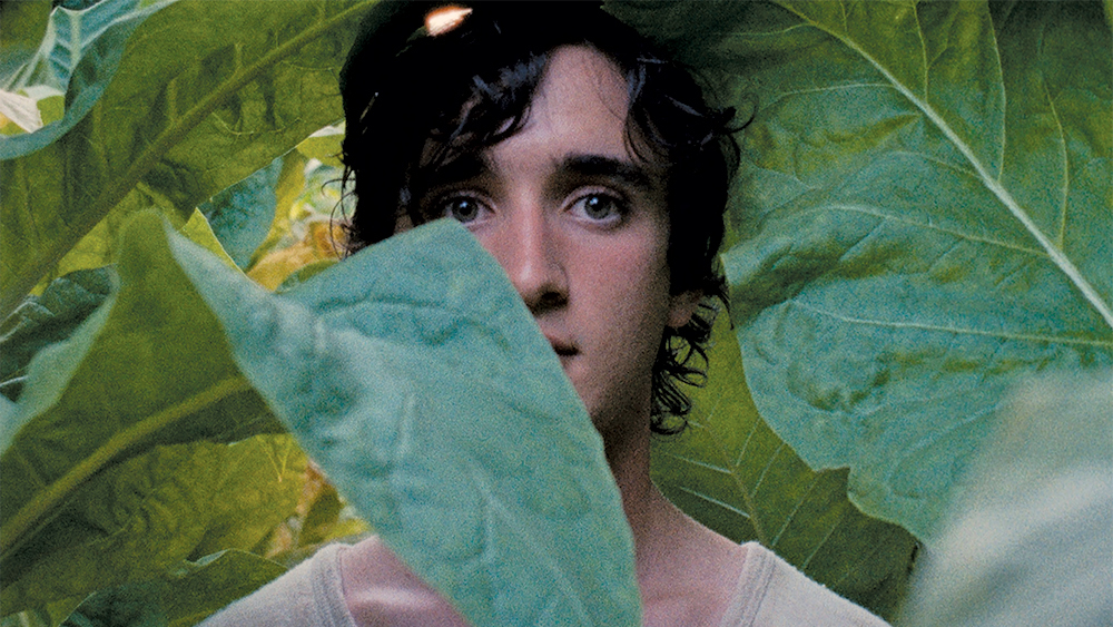 Lazzaro felice di Alice Rohrwacher: la recensione