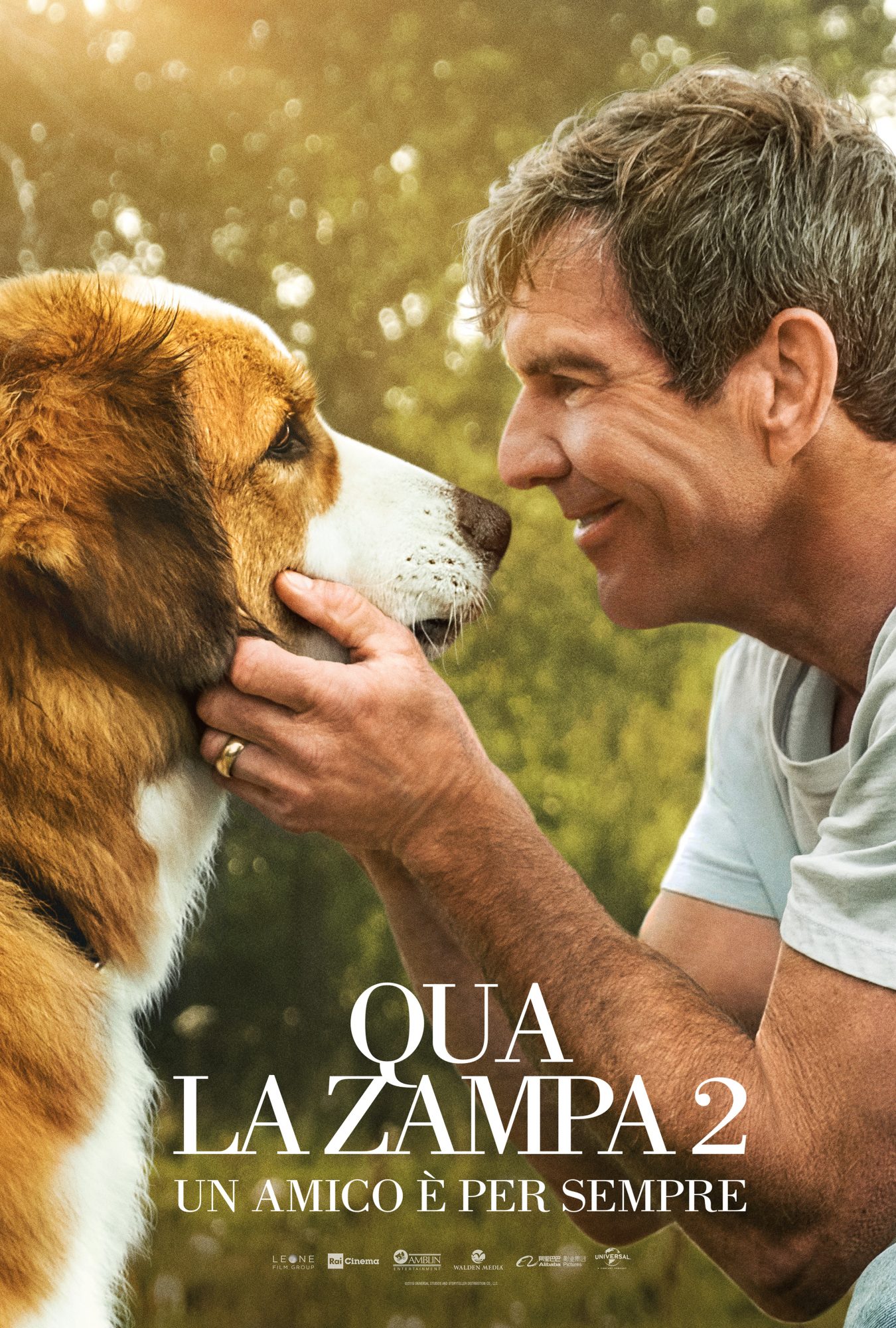 Qua la zampa 2 – Un amico è per sempre