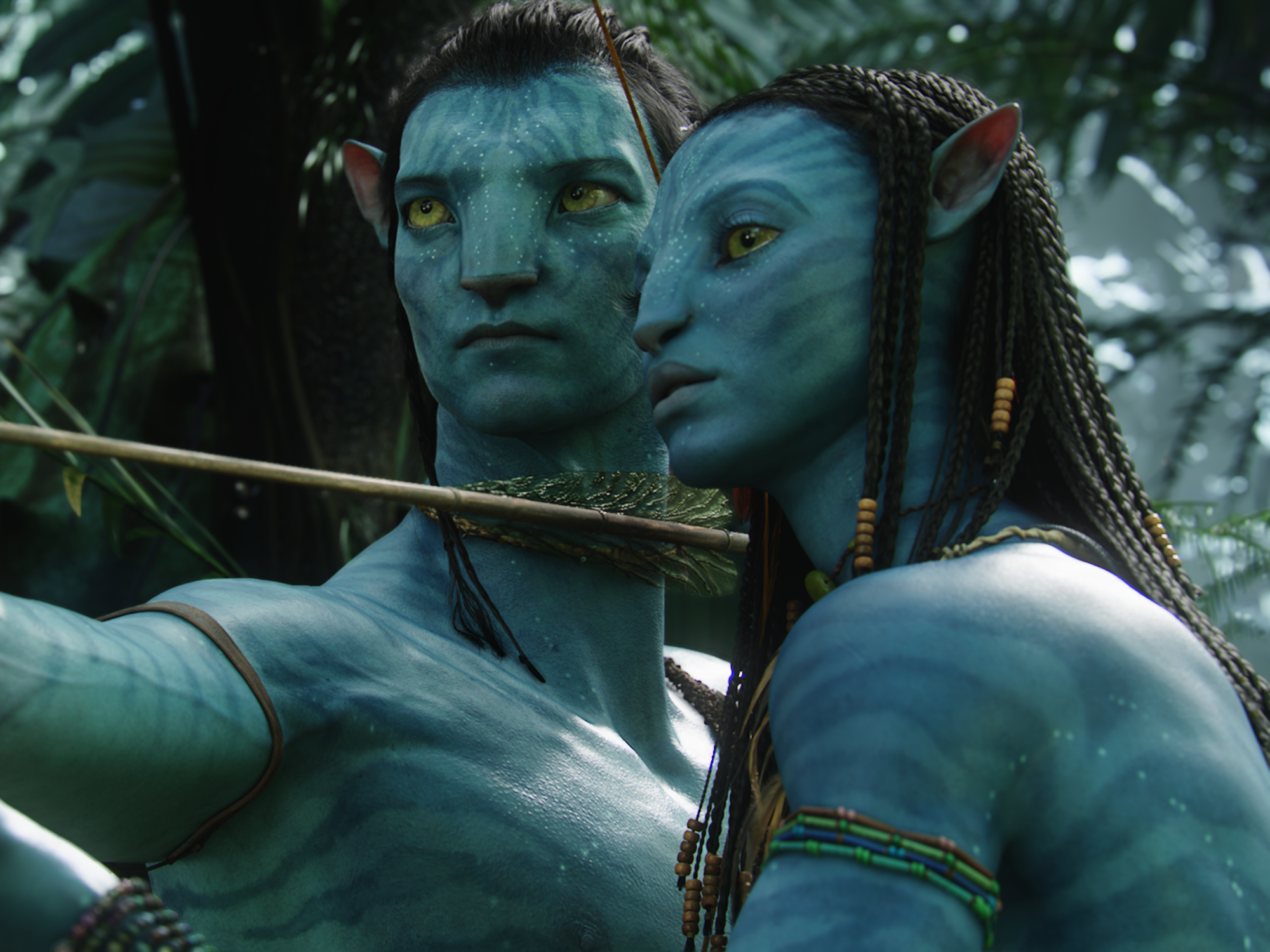 avatar james cameron su disney plus