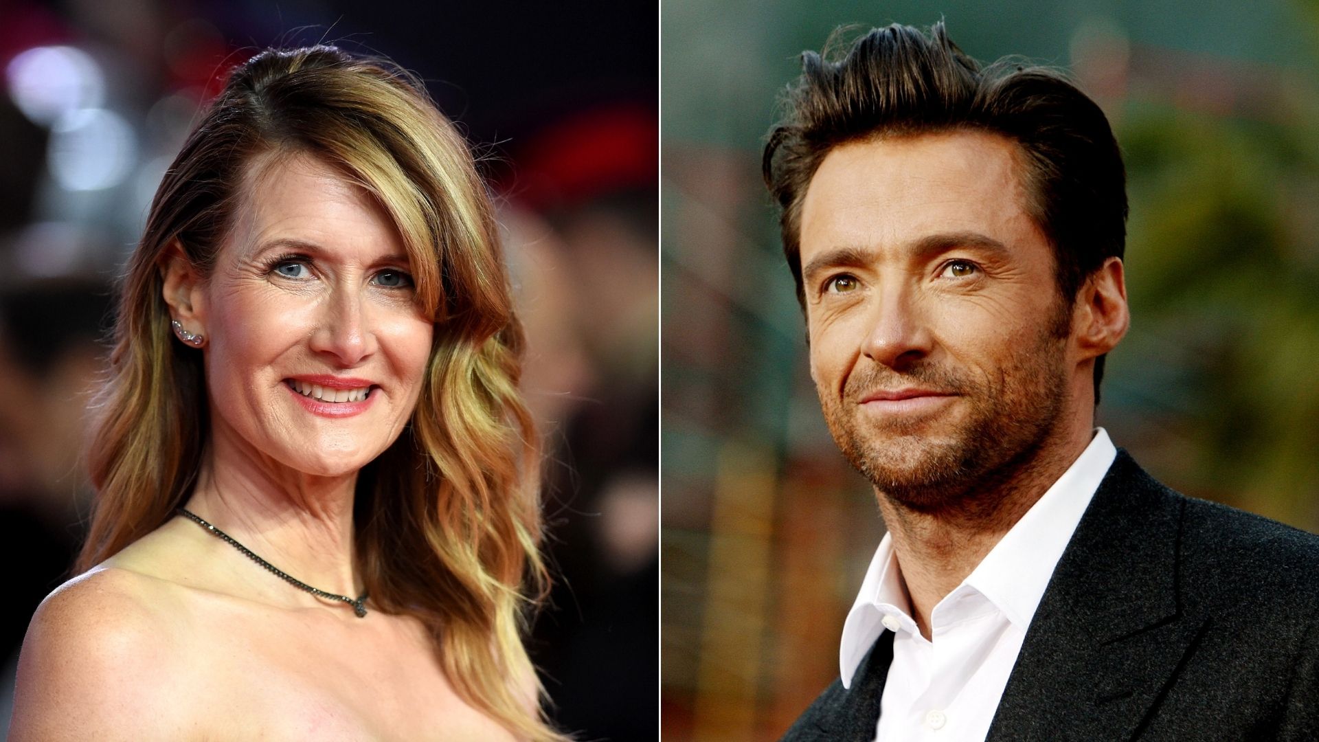 laura dern e hugh jackman