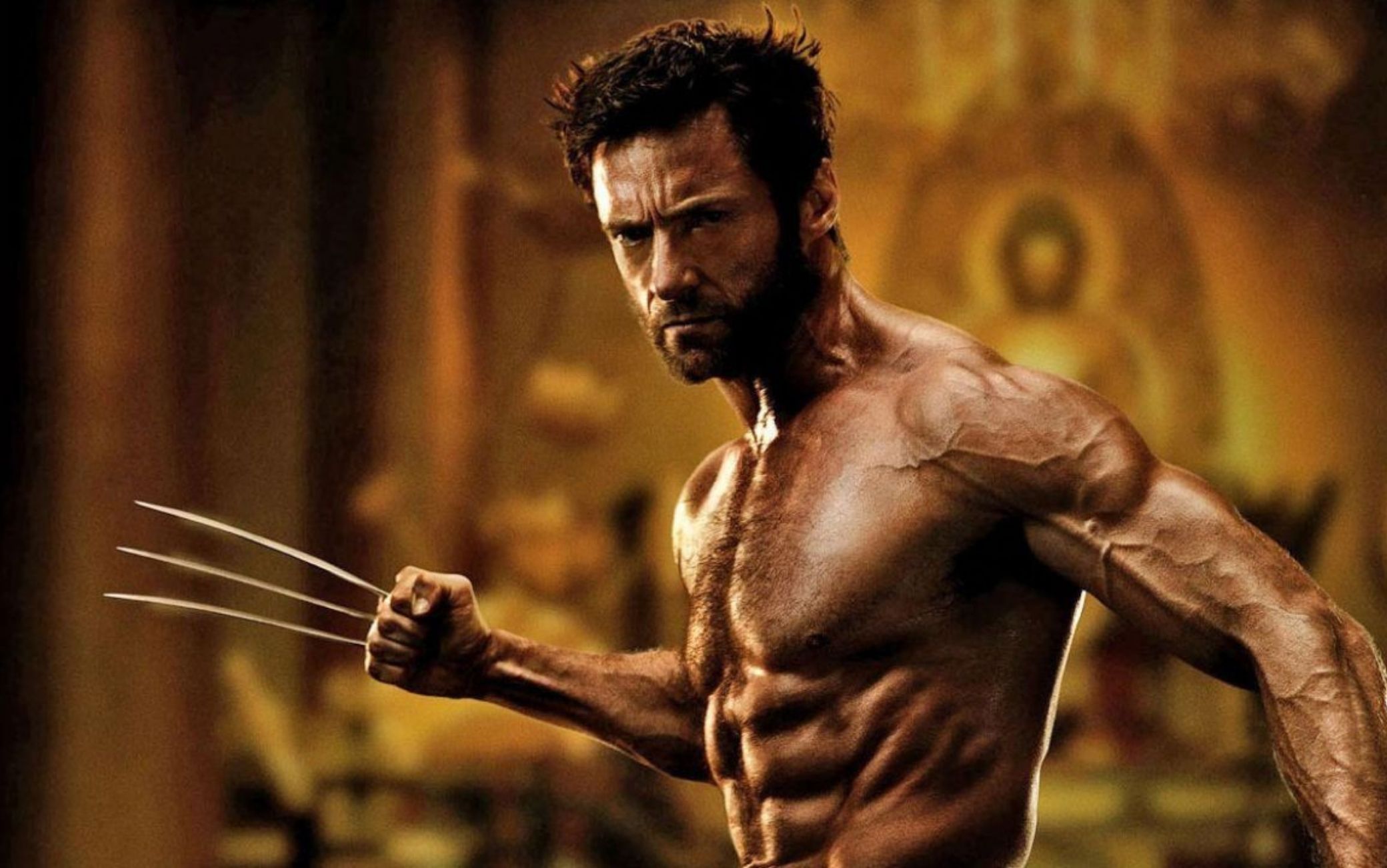 wolverine