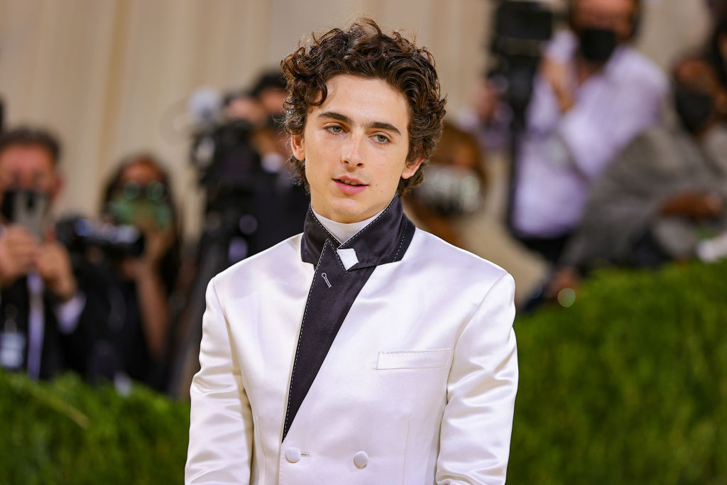 Timothée Chalamet Marvel