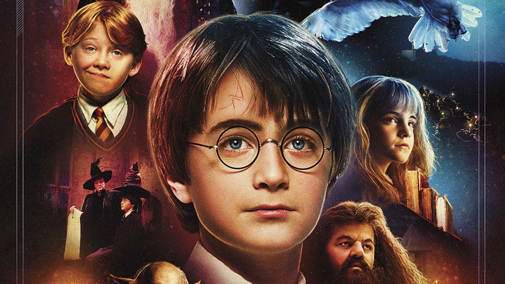 harry potter 20° anniversario