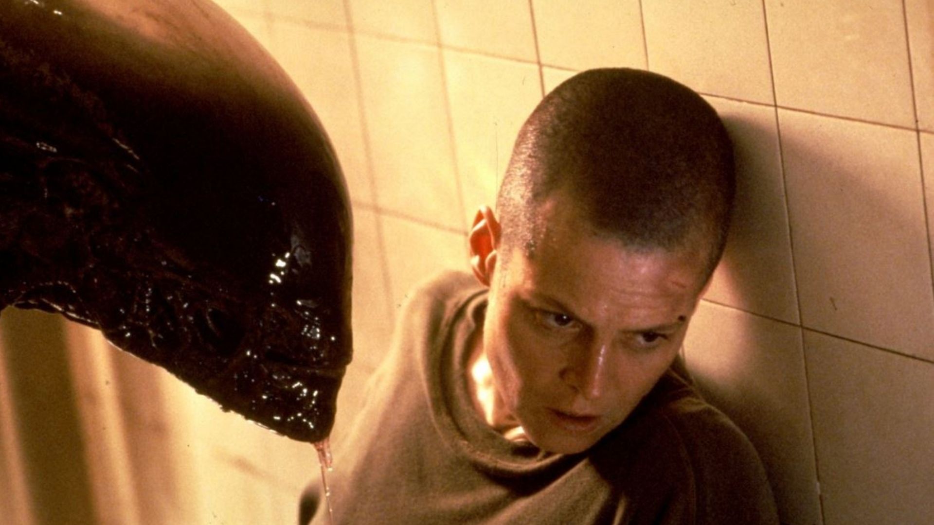 attori e registi no permesso - Alien 3