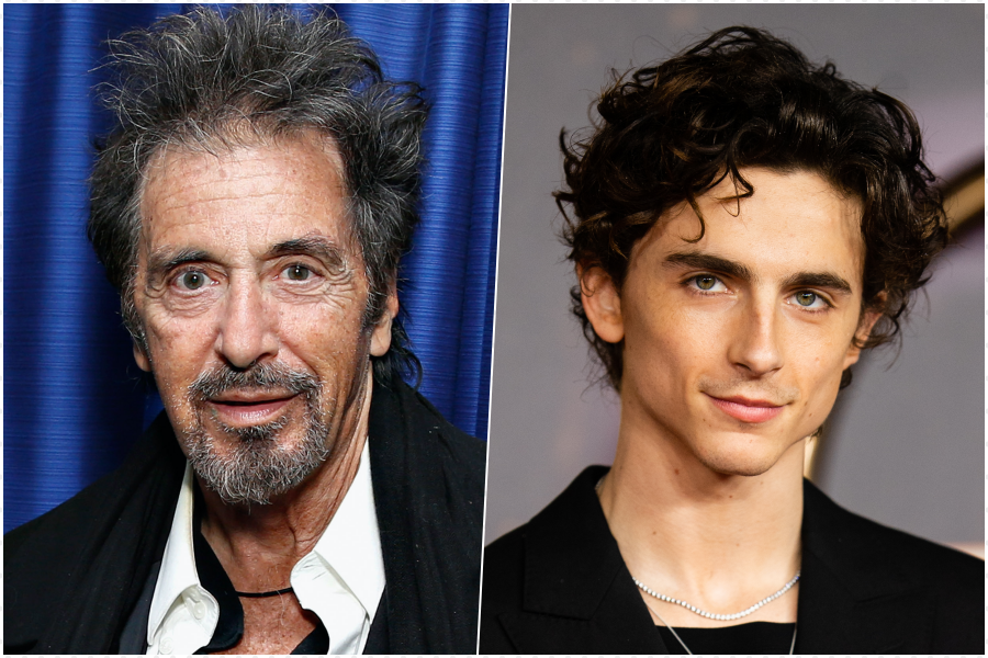 Al Pacino Chalamet