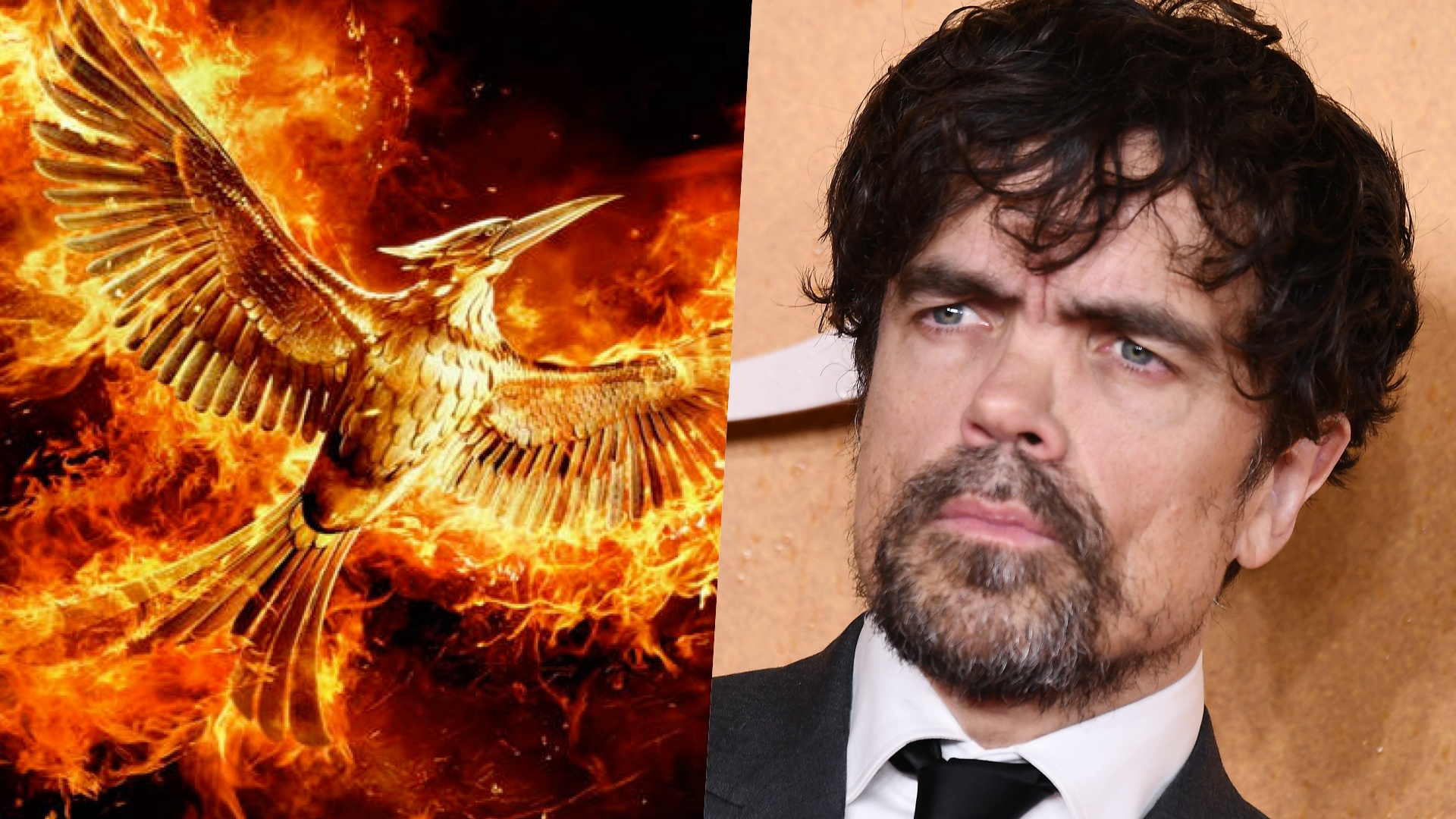 peter dinklage the hunger games